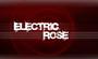 Electric Rose profile picture