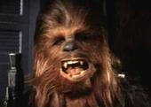 chewbaccalessthan3