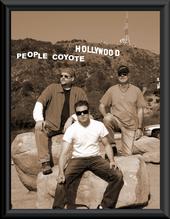 People Coyote profile picture