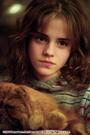 Hermione profile picture