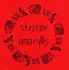 cluster amaryllis profile picture