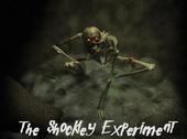 The Shockley Experiment profile picture