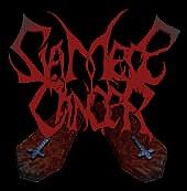 Siamese Cancer profile picture