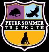 Peter Sommer profile picture