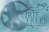 IRIE TREES profile picture