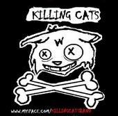 Killing Cats profile picture