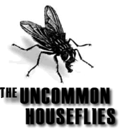 The Uncommon Houseflies profile picture