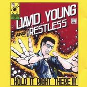 david young and the restless profile picture