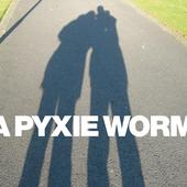 A Pyxie Worm profile picture