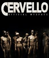 Cervello profile picture