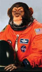 Space Monkey profile picture