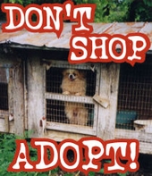 Puppy Mills - Don't Shop, Adopt! profile picture