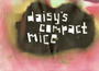 Daisy’s Compact Mice profile picture