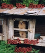 Puppy Mills - Don't Shop, Adopt! profile picture