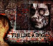 FLY LIKE A DOG profile picture