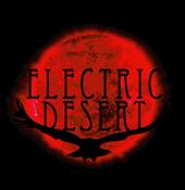 Electric Desert profile picture