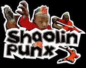 SHAOLIN PUNX profile picture