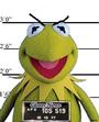 Kermit the Hitman profile picture