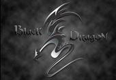 Black Dragon profile picture