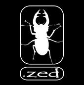 zed (NEW SONGS ONLINE) profile picture