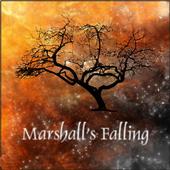 Marshalls Falling profile picture