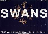 Swans profile picture