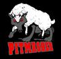 PITMASHER T-SHIRTS AND HOODIES profile picture