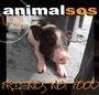 animalsos profile picture