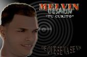 MELVIN CESARIN profile picture