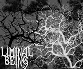 Liminal Being R.I.P profile picture