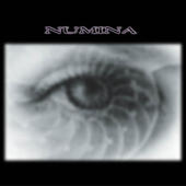 Numina profile picture