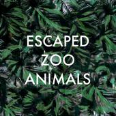 Escaped Zoo Animals (ALBUM NOW ON ITUNES) profile picture