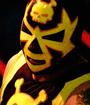 Mondo Lucha a Go-Go profile picture