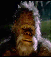 GAY BIGFOOT profile picture