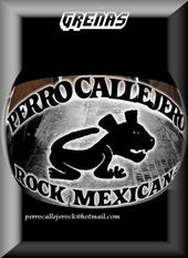 PERRO CALLEJERO profile picture