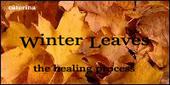 Winter Leaves profile picture