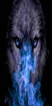 C.A.F.H Lycan Guardians of the Night profile picture