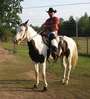 Cowgirl butts make me sweat profile picture