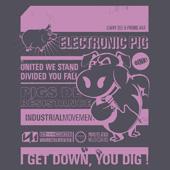 Electronic Pig profile picture