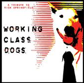 Working Class Dogs - A Tribute To Rick Springfield profile picture