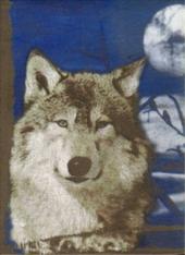 Dreams In White Wolf Spirit profile picture