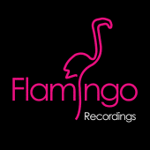 Flamingo Recordings profile picture