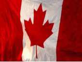 Canadian Metal Support profile picture