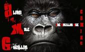 AMG - Alpha Male Gorillas profile picture