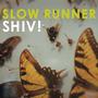 Slow Runner - Two New Albums Out Now!!! profile picture