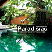 Paradisiac profile picture