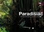 Paradisiac profile picture