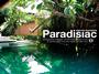 Paradisiac profile picture