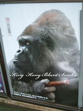 KiNgKoNg-BlUnTsMoKa profile picture