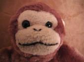 superfly monkey profile picture